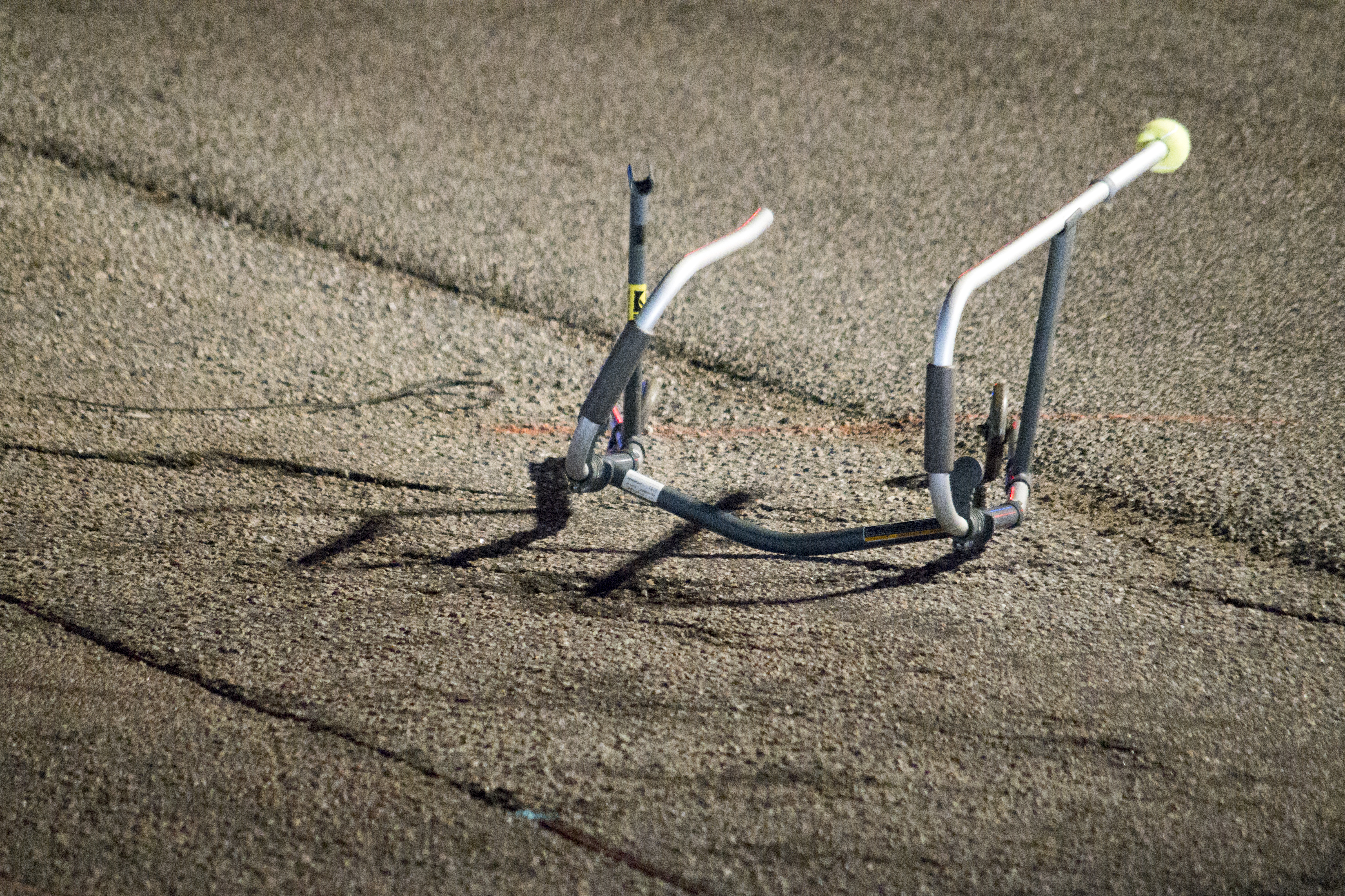 Walker of a Struck Pedestrian